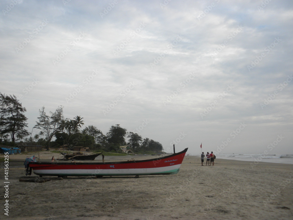 Fototapeta premium india pictures