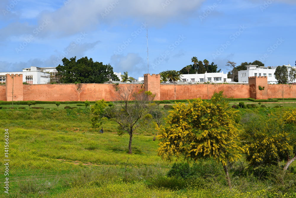 Fototapeta premium Ruine und Totenstadt Chellah in Rabat - Marokko