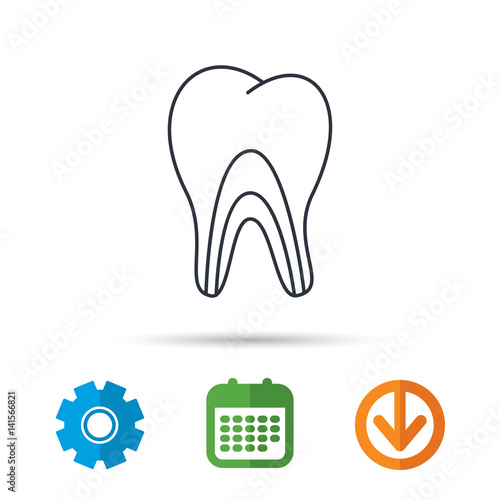 Dentinal tubules icon. Tooth medicine sign. Calendar, cogwheel and download arrow signs. Colored flat web icons. Vector