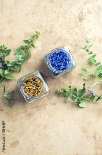 Dried and fresh healing herbs, herbal medicine