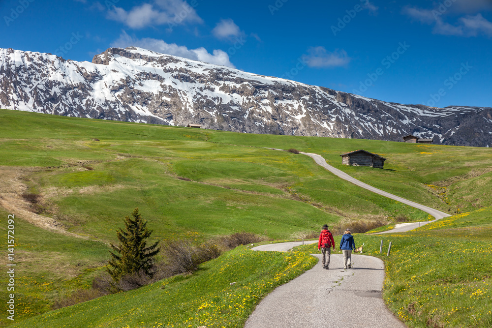 Fototapeta premium Wanderer auf der Seiser Alm