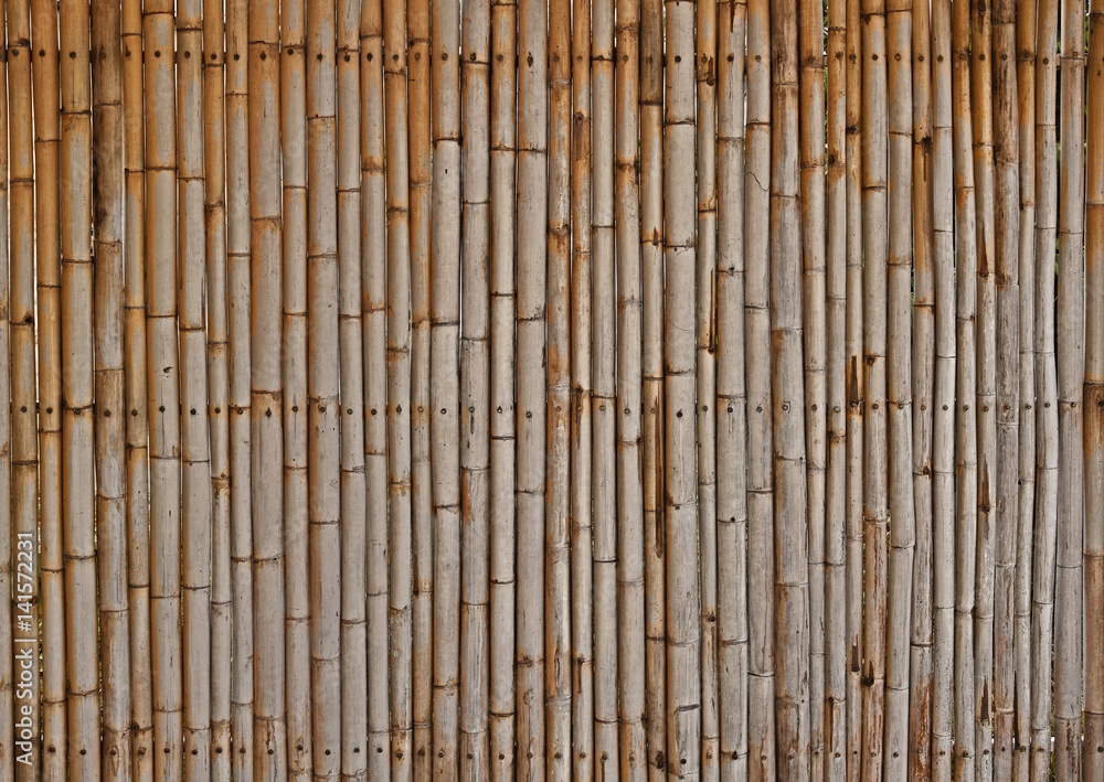 Bamboo fence background. Bamboo fence background.