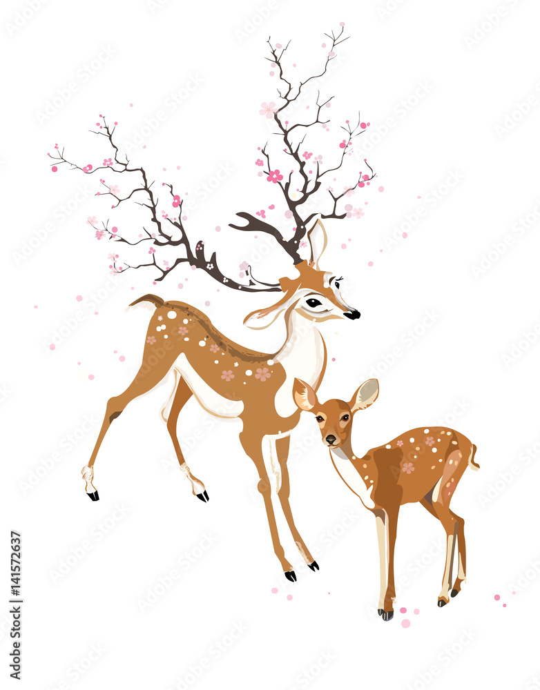 Spring deer and fawn Spring deer and fawn