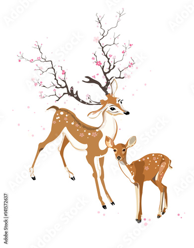 Spring deer and fawn