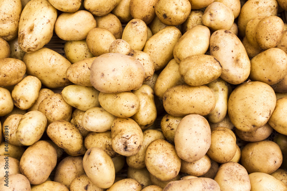 Vibrant fresh potatoes for sale at a farmer's market in Oregon Vibrant fresh potatoes for sale at a farmer's market in Oregon