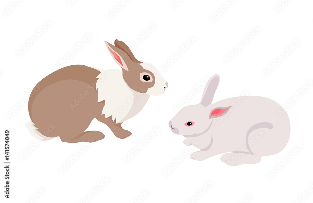 Flat brown and white rabbit. Illustration isolated on a white background. Flat brown and white rabbit. Illustration isolated on a white background.