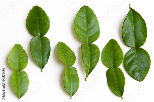 Lime leaves on white background