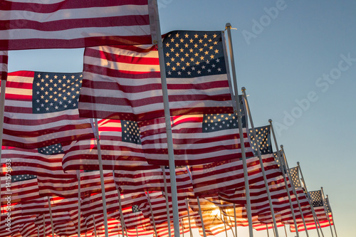 A group of American flags waving during the late afternoon sunset.