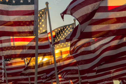 A group of American flags waving during the late afternoon sunset.
