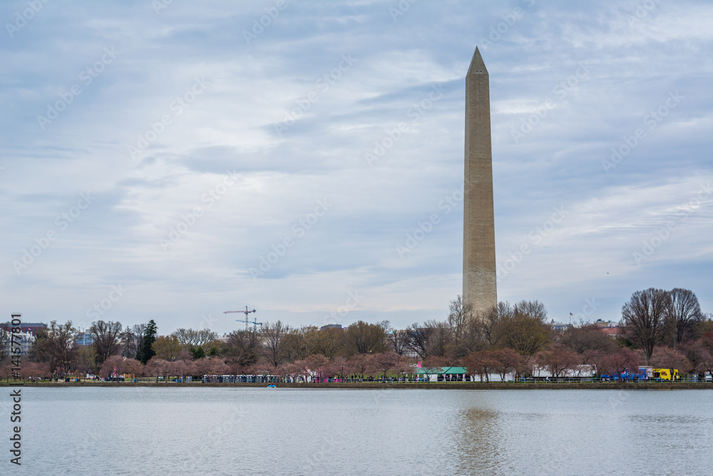The Washington Monument and cherry blossoms along the Tidal Basin, in Washington, DC.