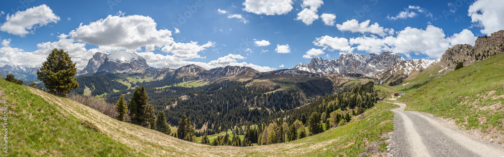 Fototapeta premium Wanderweg auf der Seiser Alm