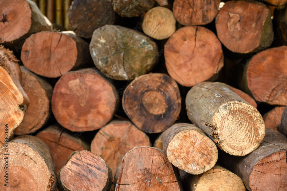 Pile of wood logs with the concentric year rings Pile of wood logs with the concentric year rings