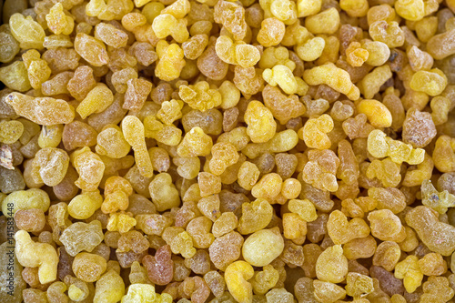 Aromatic yellow resin gum from Sudanese Frankincense tree, Closeup texture of incense made by slashing bark of Boswellia sacra tree in Etiopia (Boswellia Papyrifera)