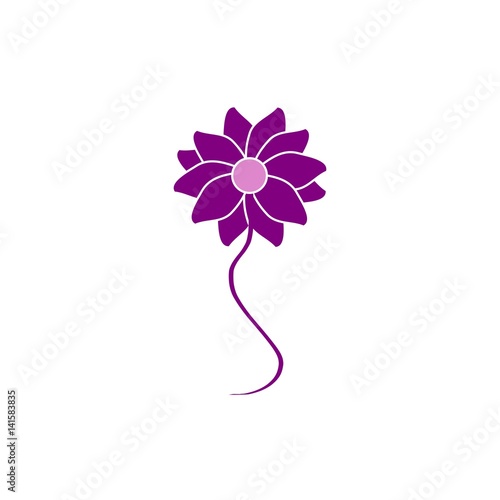 Fleur violette
