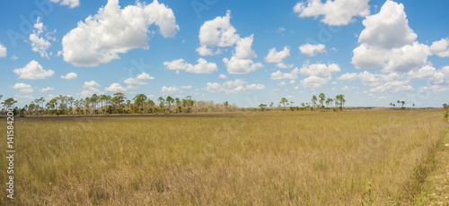 фотографія Landscape of wilderness in the Everglades National Park - Florida - USA