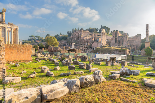 Rome, Italy. Ancient ruins of the Roman Forum and Palatine Hill