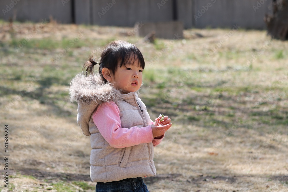 Fototapeta premium 芝生の公園 子供