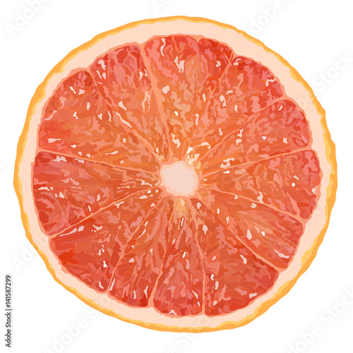 Realistic vector illustration of a grapefruit slice