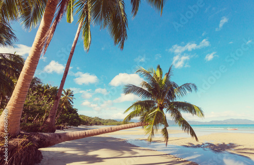 Serenity tropical beach