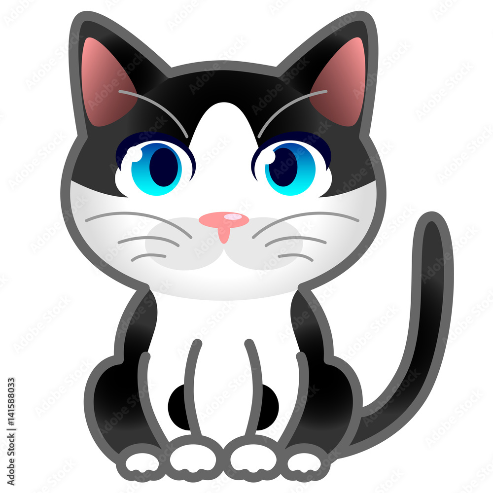 猫 ハチワレ 猫 ハチワレ