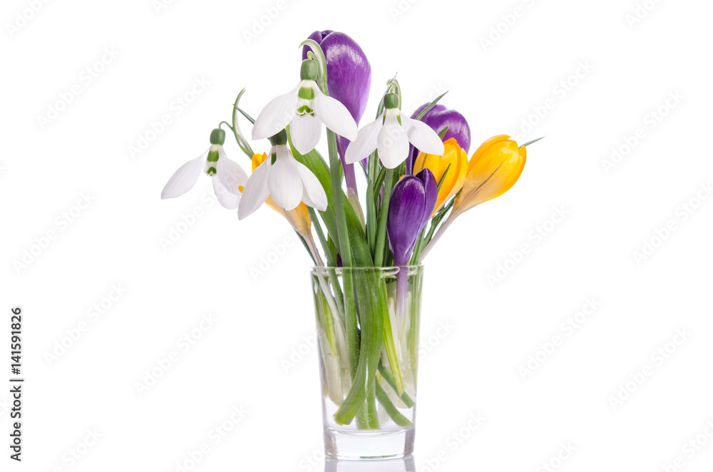 bouquet from crocus  and snowdrops on white background