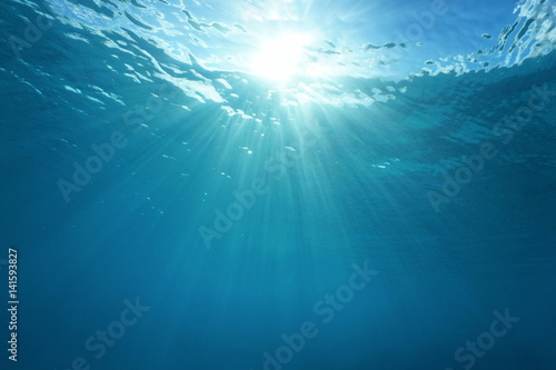 Pacific ocean underwater sunlight through water surface, natural scene, French Polynesia   © dam