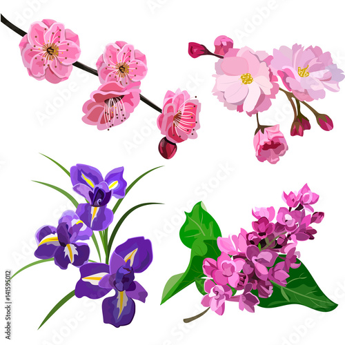 Fototapeta Naklejka Na Ścianę i Meble -  Spring flowers set