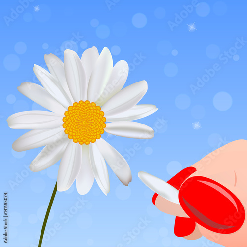 Fototapeta Naklejka Na Ścianę i Meble -  loves me not