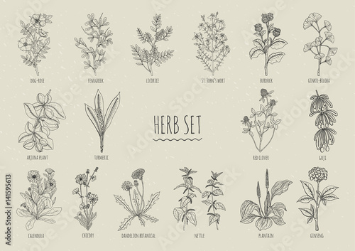 Canvas-taulu Set of herbs