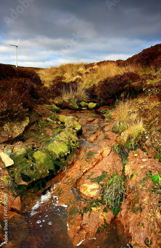 brown rock photo