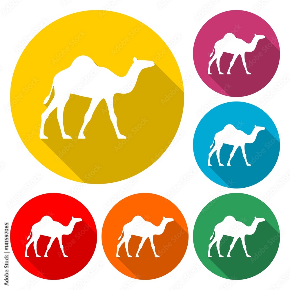 Camel Icon Flat Graphic Design - Illustration Camel Icon Flat Graphic Design - Illustration
