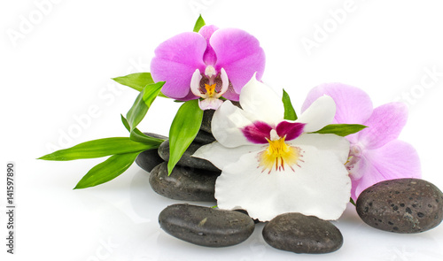 Wellness  Orchids  stones and bamboo   