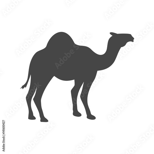 Camel black silhouette vector - Illustration