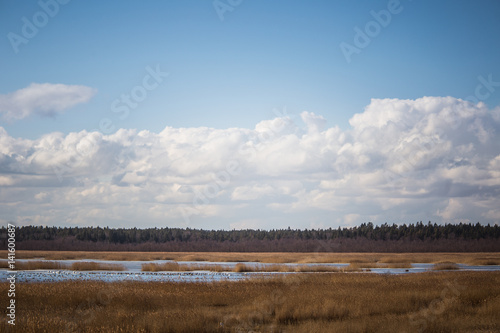 A beautiful early spring landscape with a lake