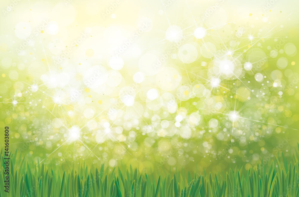 Fototapeta premium Vector green grass bokeh nature background.
