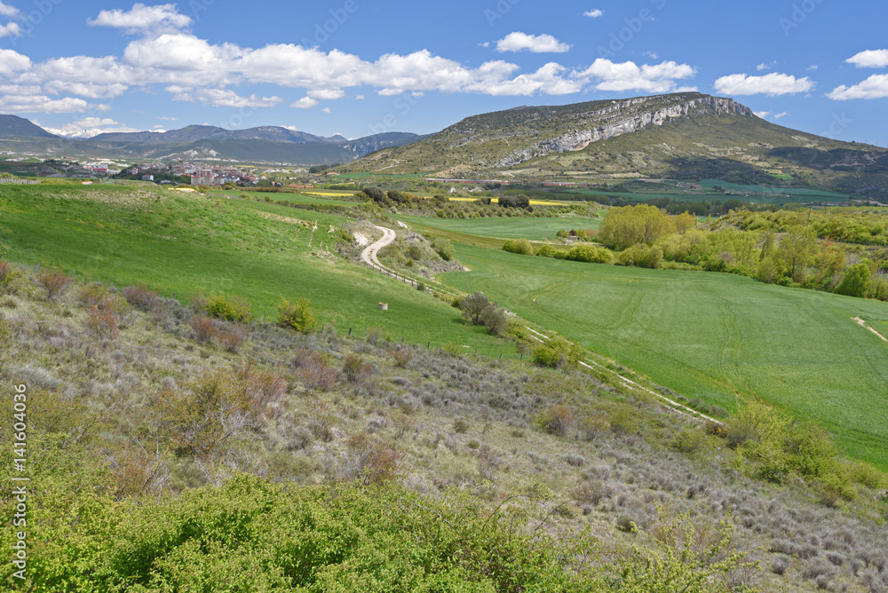 Spring view of the Spanish region Navarra