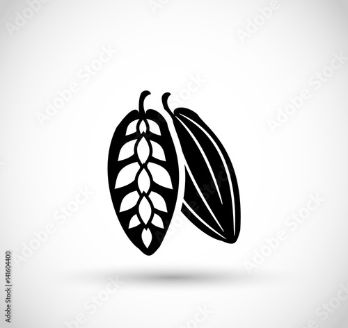 Cocoa nut icon vector
