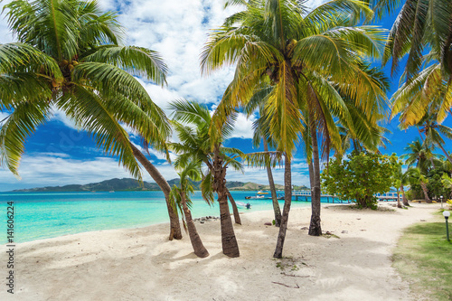 Tropical beach with coconut palm trees and lagoon on Fiji Islands