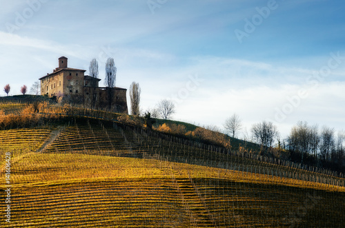 Castello della Volta, medieval castle in the vineyards of Langhe, near Barolo (Piedmont, Italy)