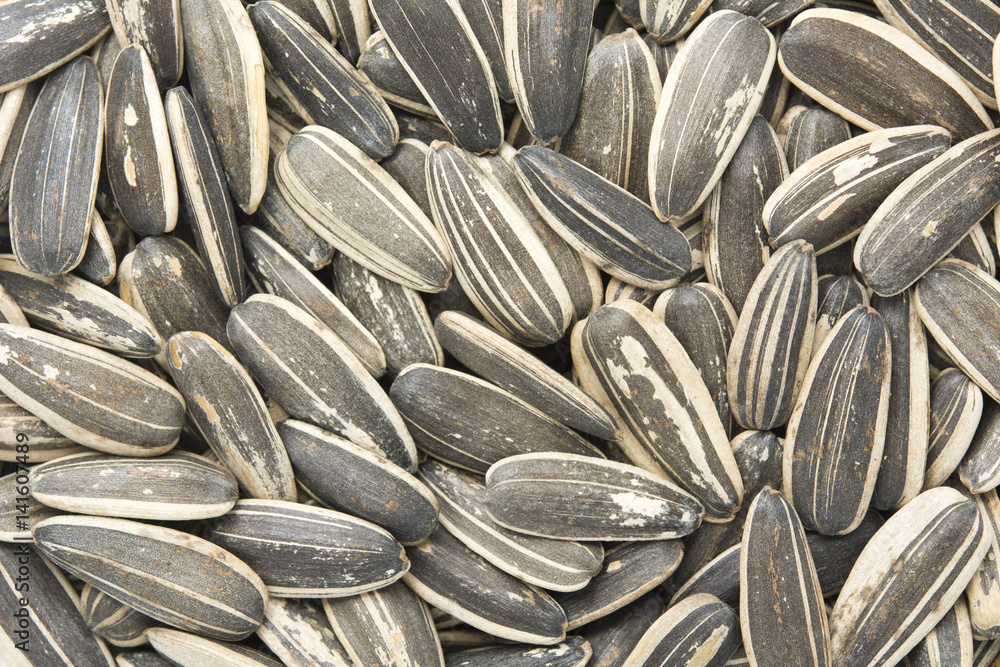 Dried sunflower seeds background Dried sunflower seeds background