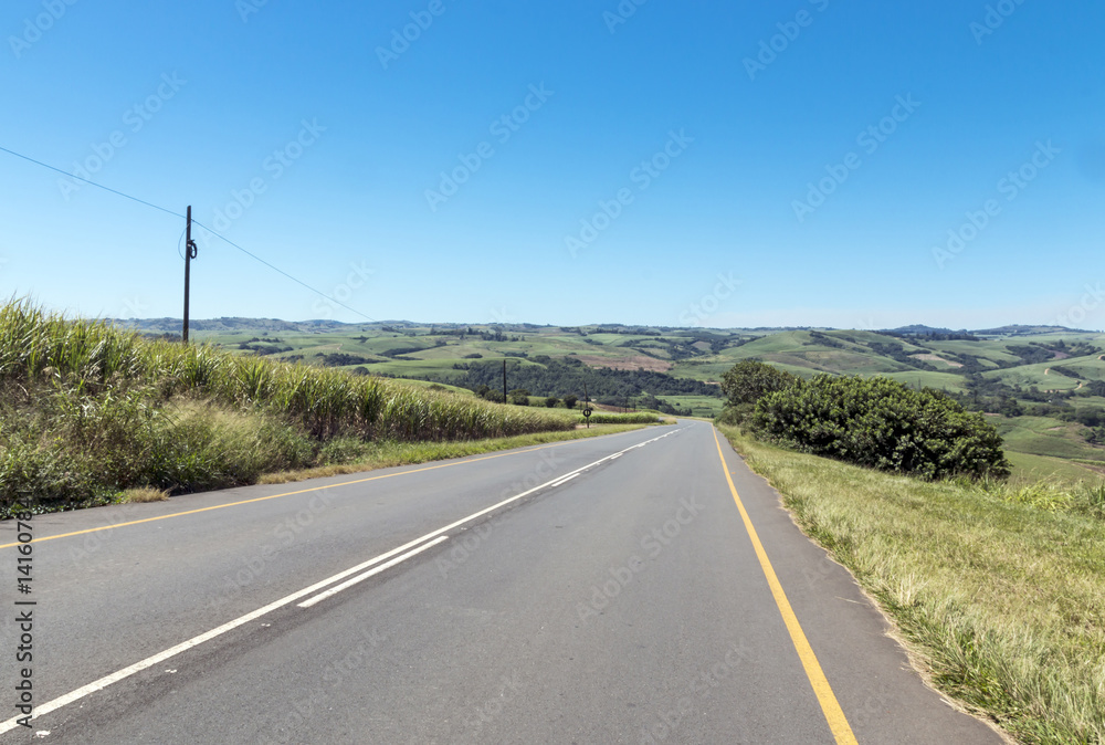 Asphalt Country Road Running Through Sugar Cane Fields Asphalt Country Road Running Through Sugar Cane Fields