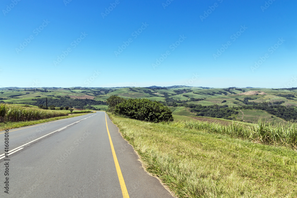 Asphalt Country Road Running Through Sugar Cane Fields