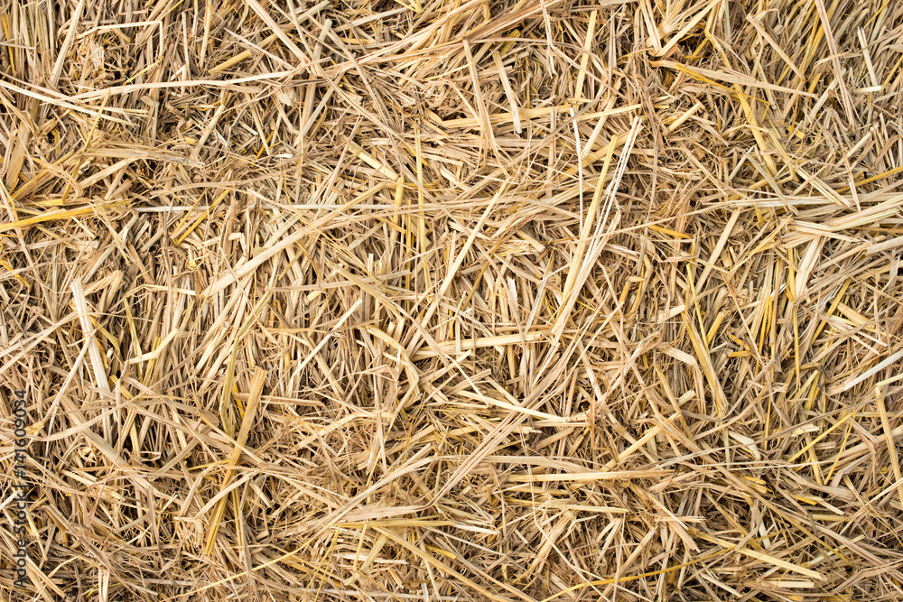 Close up of straw background texture
