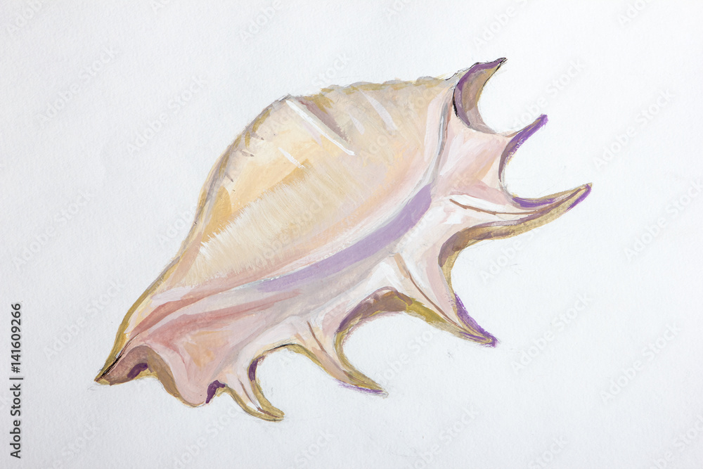 texture painting still life painting sea shell, texture painting still life painting sea shell,