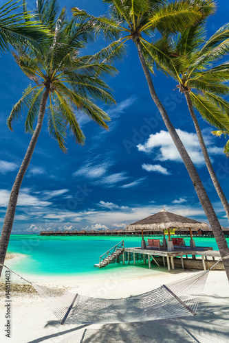 Hammock between palm trees on a tropical beach  Maldives