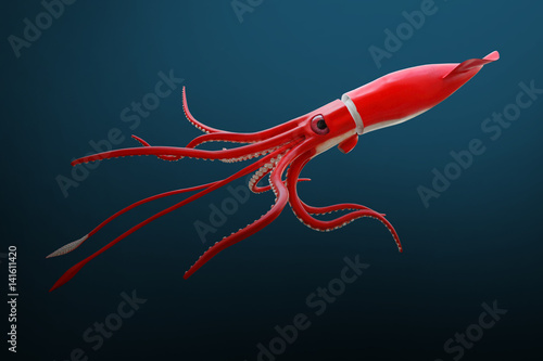 The Giant Squid - Architeuthis is a very dangerous and mysterious predator from deep ocean. Sea life theme.