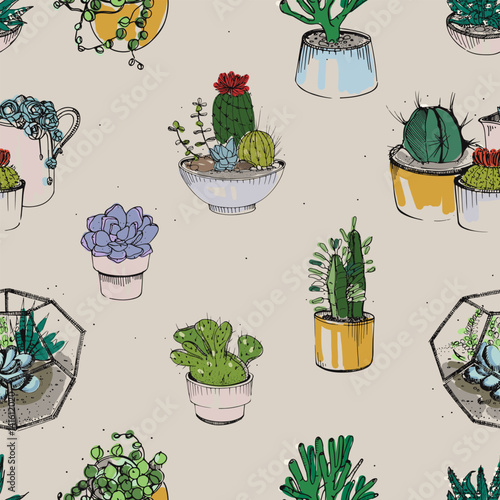Seamless with various hand drawn succulent and cactus plants on white background