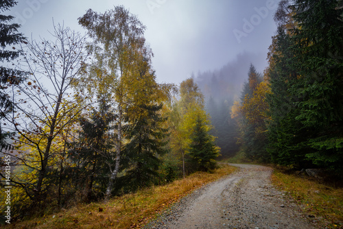 Misty mountain, Central Romania, Europe