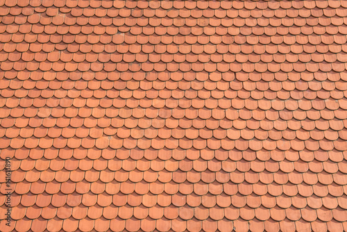 Terracotta Haus roof