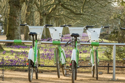 City bike rental station in spring park photo